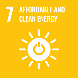 goal 7 un